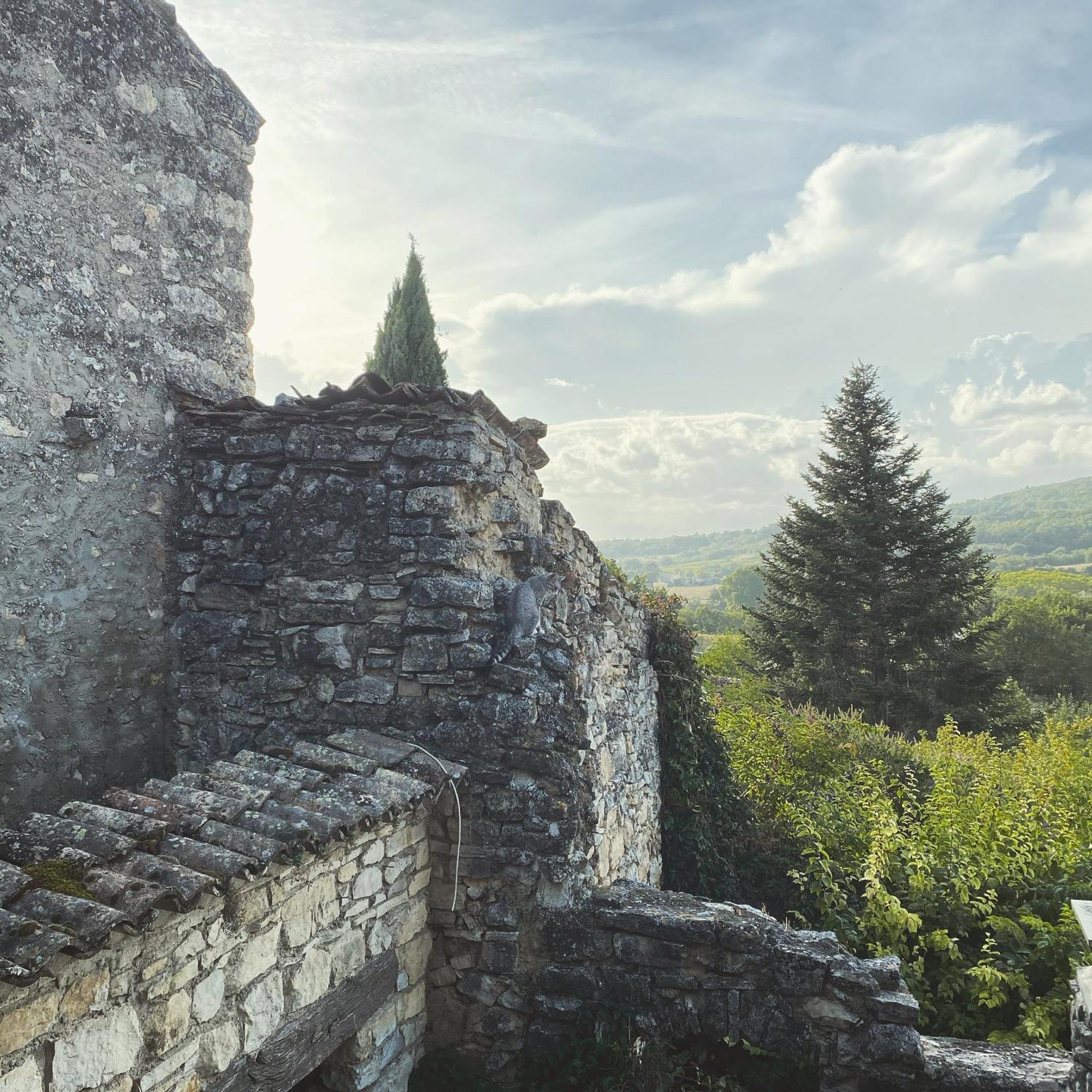 Auberge Du Boisset Saint-Martin-de-Castillon Bagian luar foto